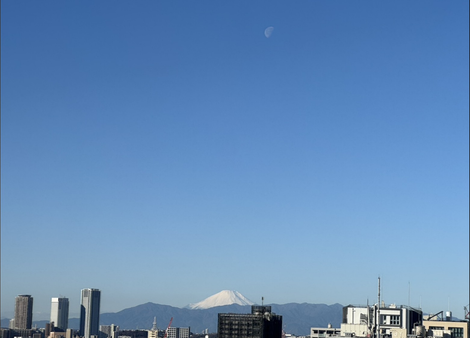 いつまで見られるかな🫢❓